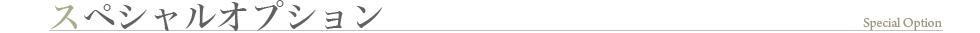 スペシャルオプション
