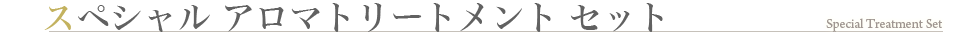 スペシャル アロママッサージ セット
